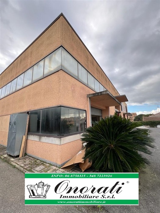 [38] - Casal Lumbroso - Massimina 